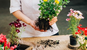 Landscaping Methods prevent Water Problems.