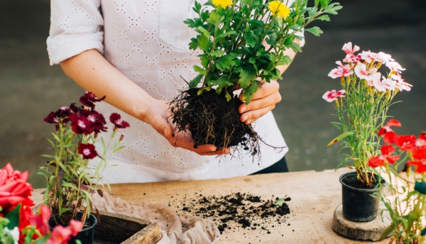 Landscaping Methods prevent Water Problems.